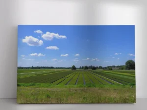 Wanddecoratie & Fotoprints