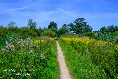 Foto van een smalle wandelweg tussen de groene natuur.