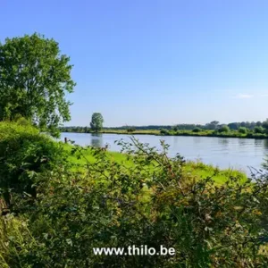 Wandeling Maasheggen – De Vilt rondtocht (Nederland)