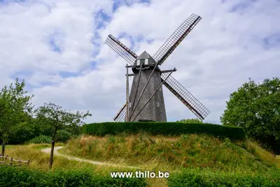 Grote windmolen (graanmolen) Openluchtmuseum Bokrijk