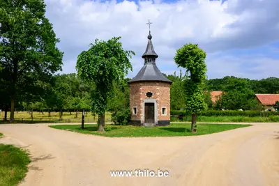 Wandelpad door het Arboretum van Bokrijk in de zomer