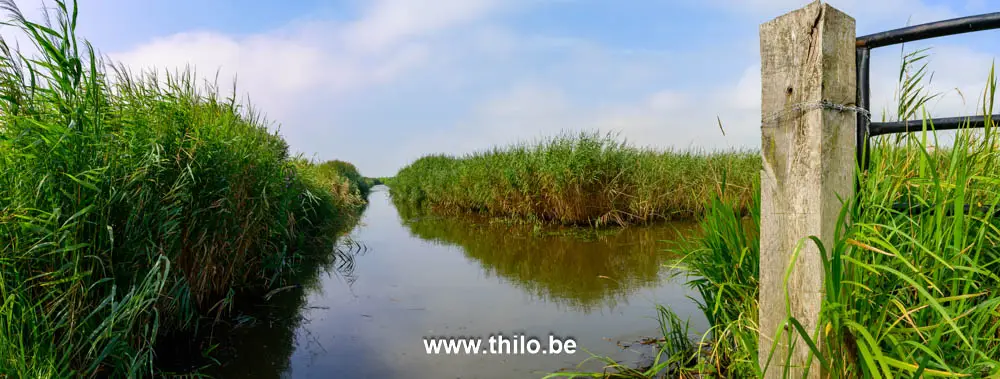 Wandelroute De Bunt Ossendrecht: uitzicht over de drassige polders