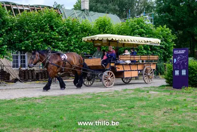 Paard en kar Bokrijk rit