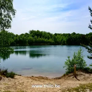 Wandelblog - Vlonderpad Rijkevorsel Antwerpen