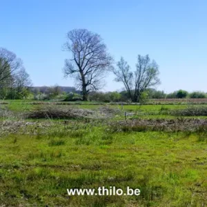 Wandeling Molenbeekvallei – rondtocht vanuit Boechout