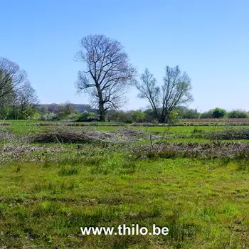 Wandeling Molenbeekvallei – rondtocht vanuit Boechout
