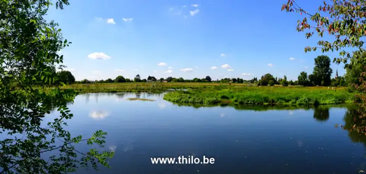 Panorama foto van een meer langst de bossen in Duitsland