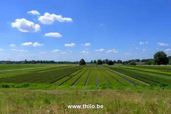 Uitzicht op het Limburgse landschap tijdens een wandeling naar Duitsland