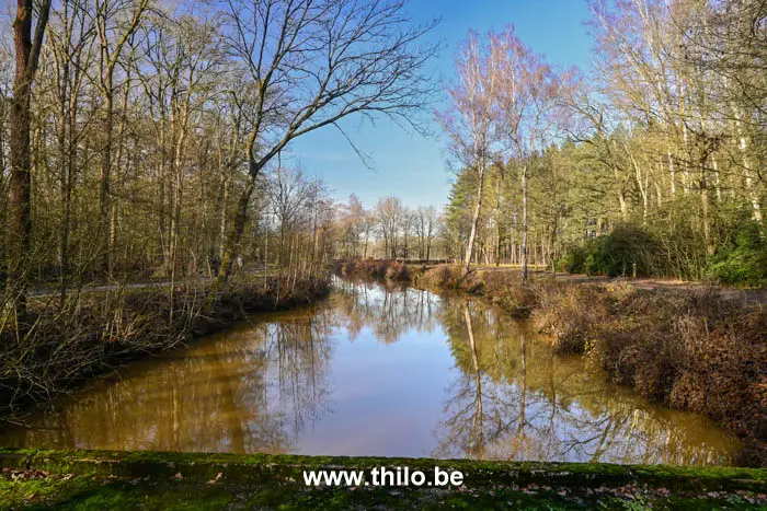 Wandelen langs de Antitankgracht in Schilde – Een sfeervol natuurbeeld van de historische waterweg.