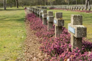 andelen in Lommel: Zicht op de Leyssensmolen tijdens de 12,4 km Kattenbos wandelroute.