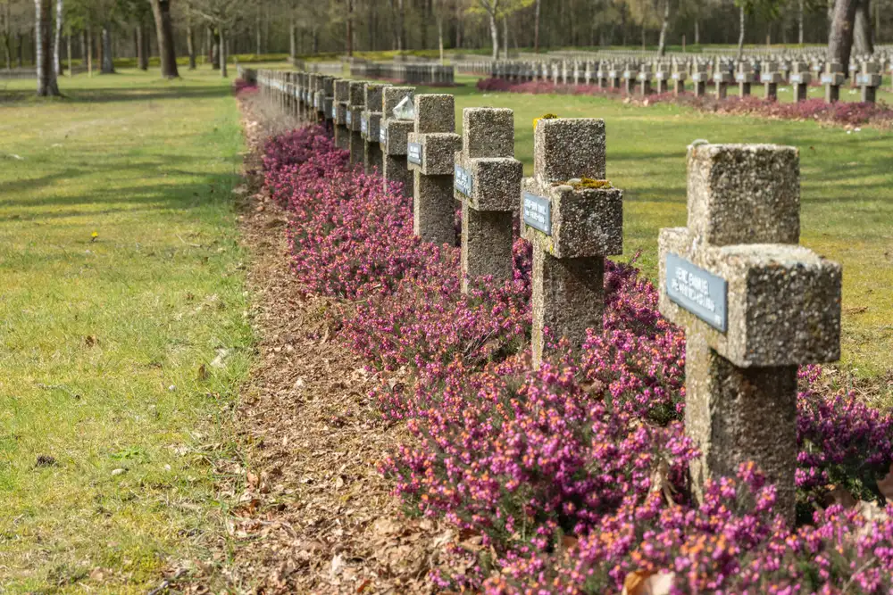 andelen in Lommel: Zicht op de Leyssensmolen tijdens de 12,4 km Kattenbos wandelroute.