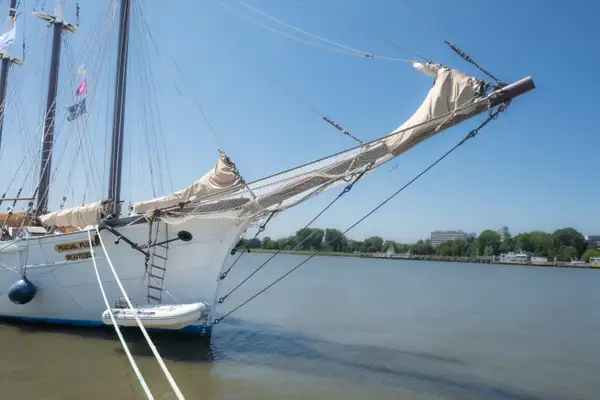 Tall Ships Races langs de stadswandeling Antwerpen Scheldekaaien